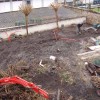 Aménagement d'un jardin à Gilly (Charleroi) - Pendant Travaux